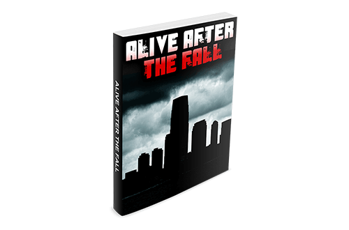 Alive After The Fall Review